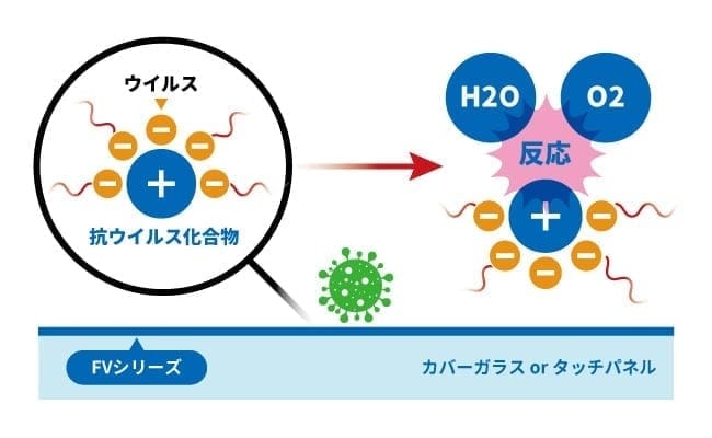 ウイルスを引き付け固着して離さない。