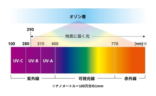 紫外線の種類