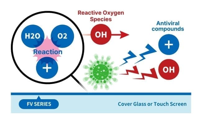 Suppressed by antiviral agents and reactive oxygen species